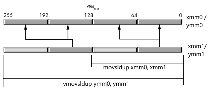 копирование данных с плавающей точкой из регистров и переменных в регистры XMM и YMM в SIMD в ассемблере x86-64
