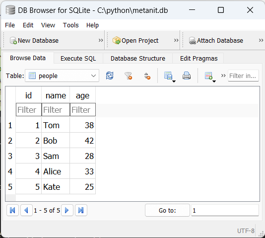 Добавление множества строк в базу данных SQLite с помощью метода executemany в Python