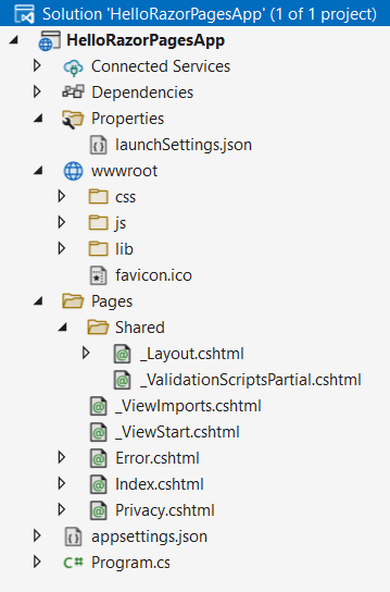 Структура проекта Razor Pages в ASP.NET Core и C# в Visual Studio