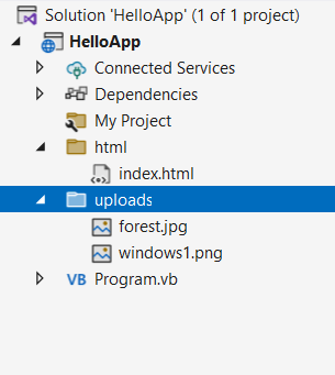 Загрузка файлов на сервер ASP.NET Core и Visual Basic .NET