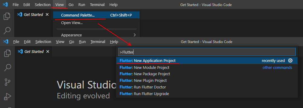 Создание проекта Flutter в Visual Studio Code