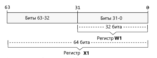 Регистры в архитектуре ARM64