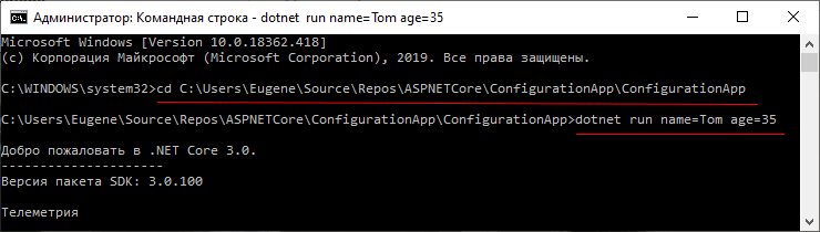 dotnet run и конфигурация командной строки в ASP.NET Core
