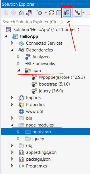 Пакетный менеджер NPM в ASP.NET Core и C#