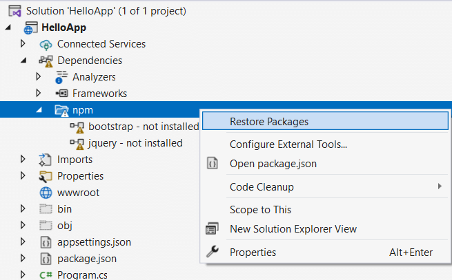 добавление пакетов NPM в проект ASP.NET Core и C#