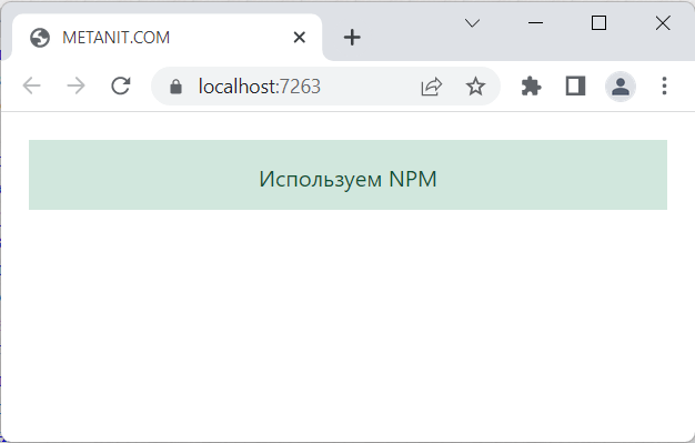 Подключение к node_modules в ASP.NET Core и C#
