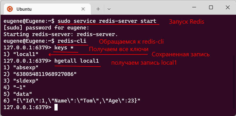 Получение из сервера Redis сохраненной записи по ключу в приложении на ASP.NET Core и C#