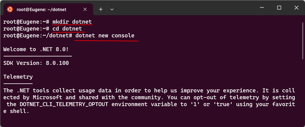 Создание проекта на C# и .NET 8 на Ubuntu в WSL