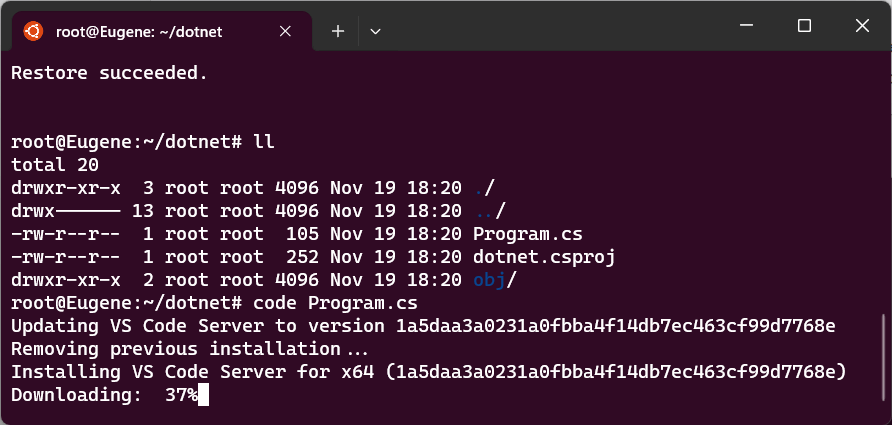 Управление проектом на C# и .NET 8 на Ubuntu в WSL