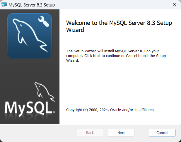 Установка MySQL на Windows