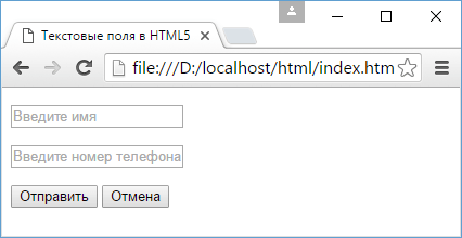 Текстовые поля в HTML5