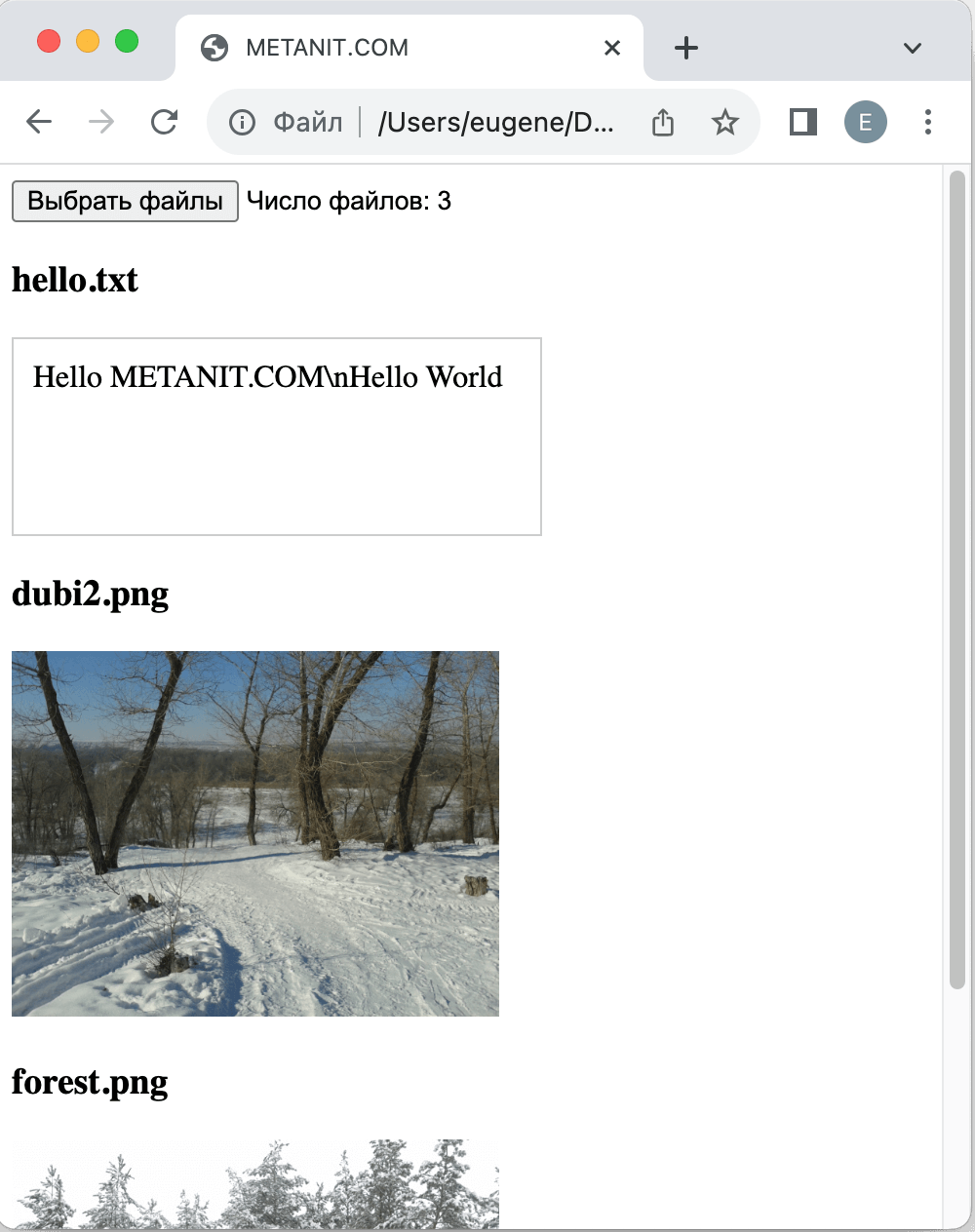 Чтение текстовых файлов и изображений с помощью FileReader в JavaScript
