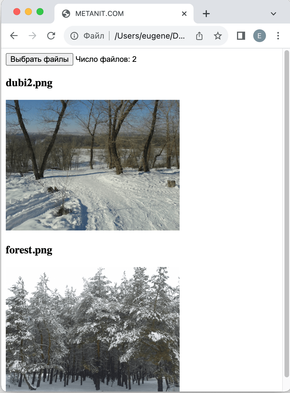 Считывание изображений с помощью FileReader в JavaScript